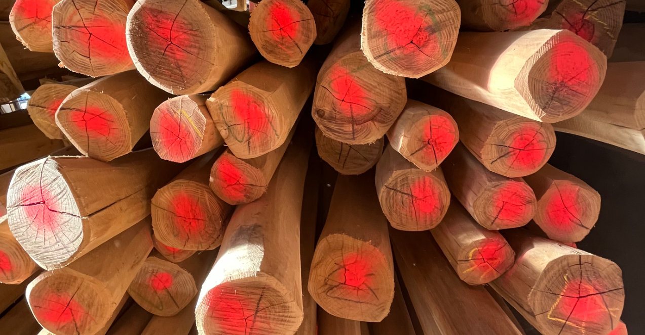 Robinienholz-Verkauf in Baden-Württ.