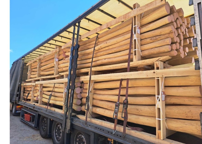 Robinienholz in Baden-Württemberg